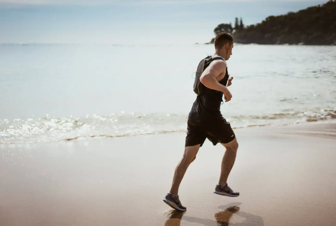 Expert guides on professional fitness equipment