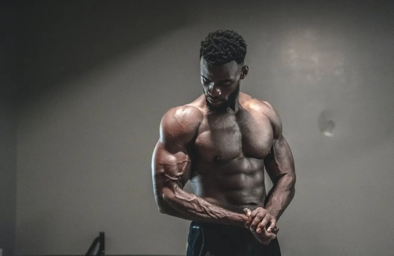 Expert guides on professional fitness equipment