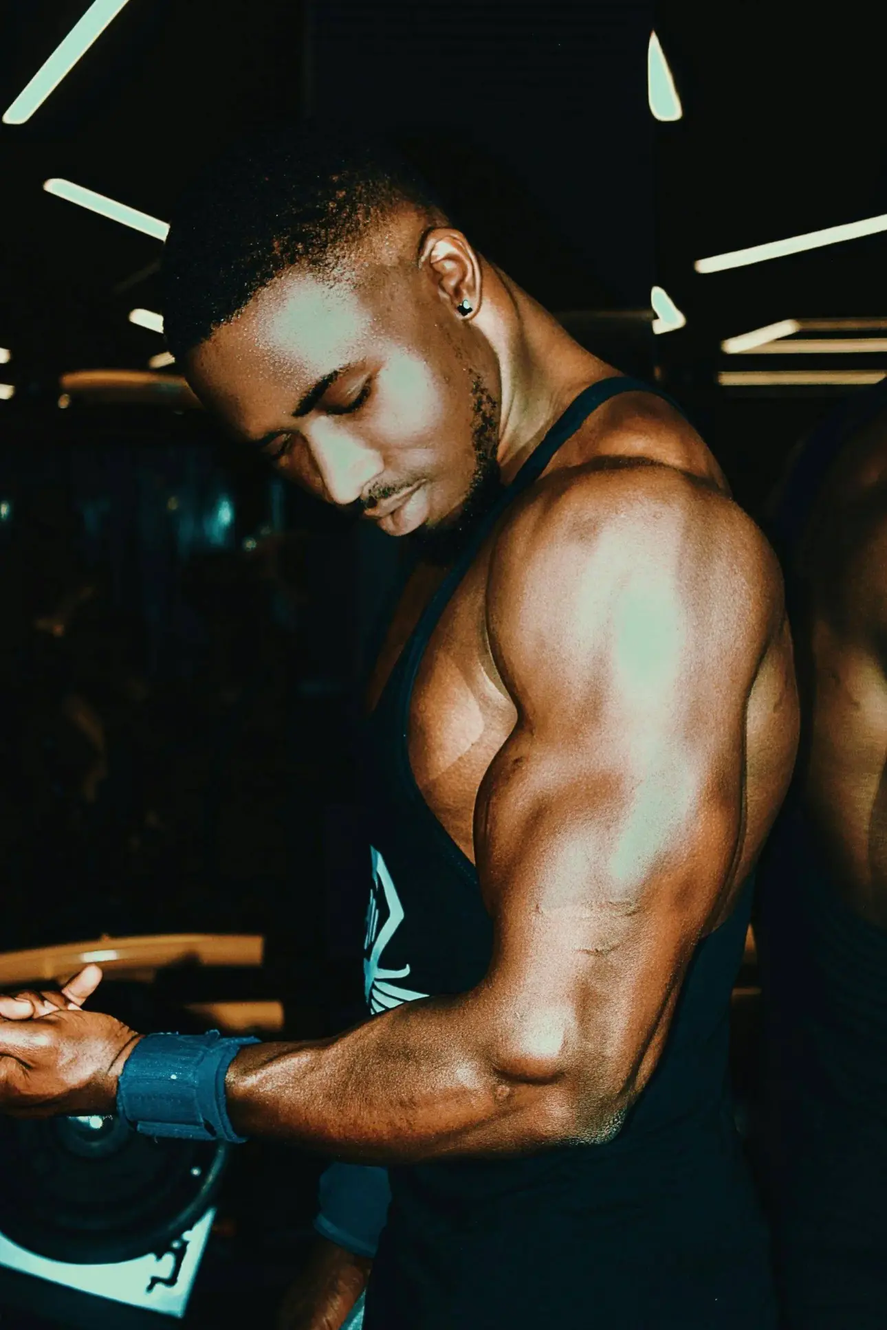 Expert guides on professional fitness equipment