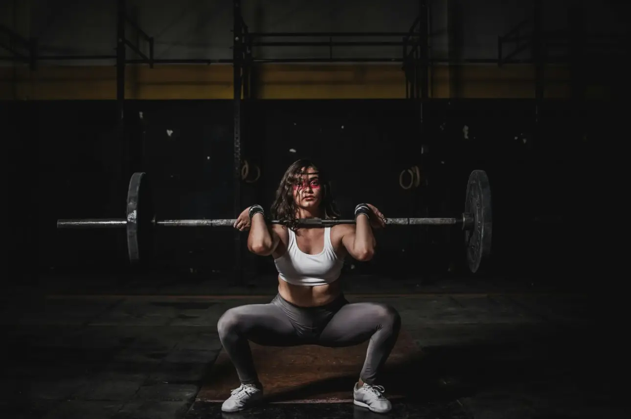Expert guides on professional fitness equipment