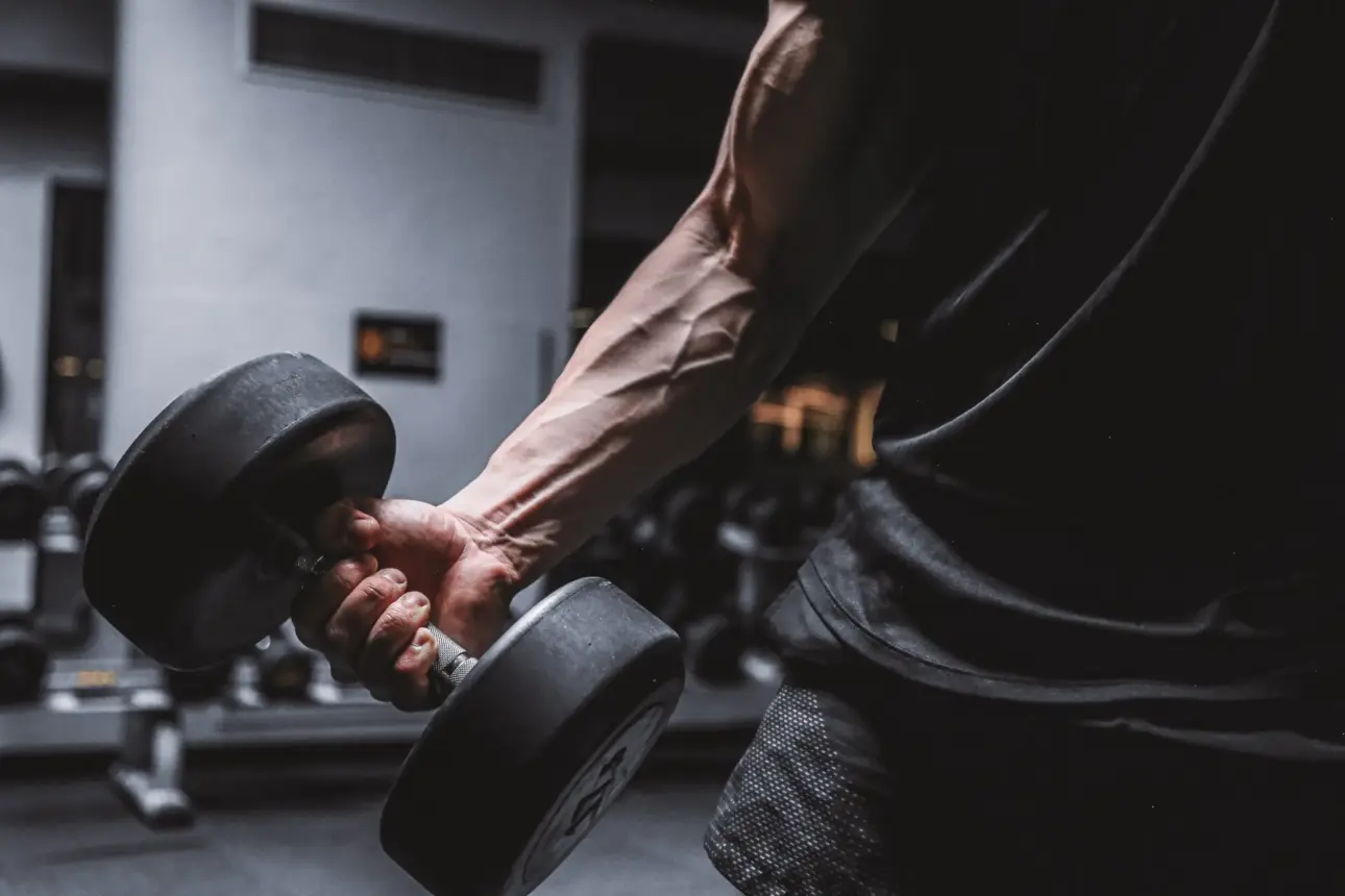 Expert guides on professional fitness equipment