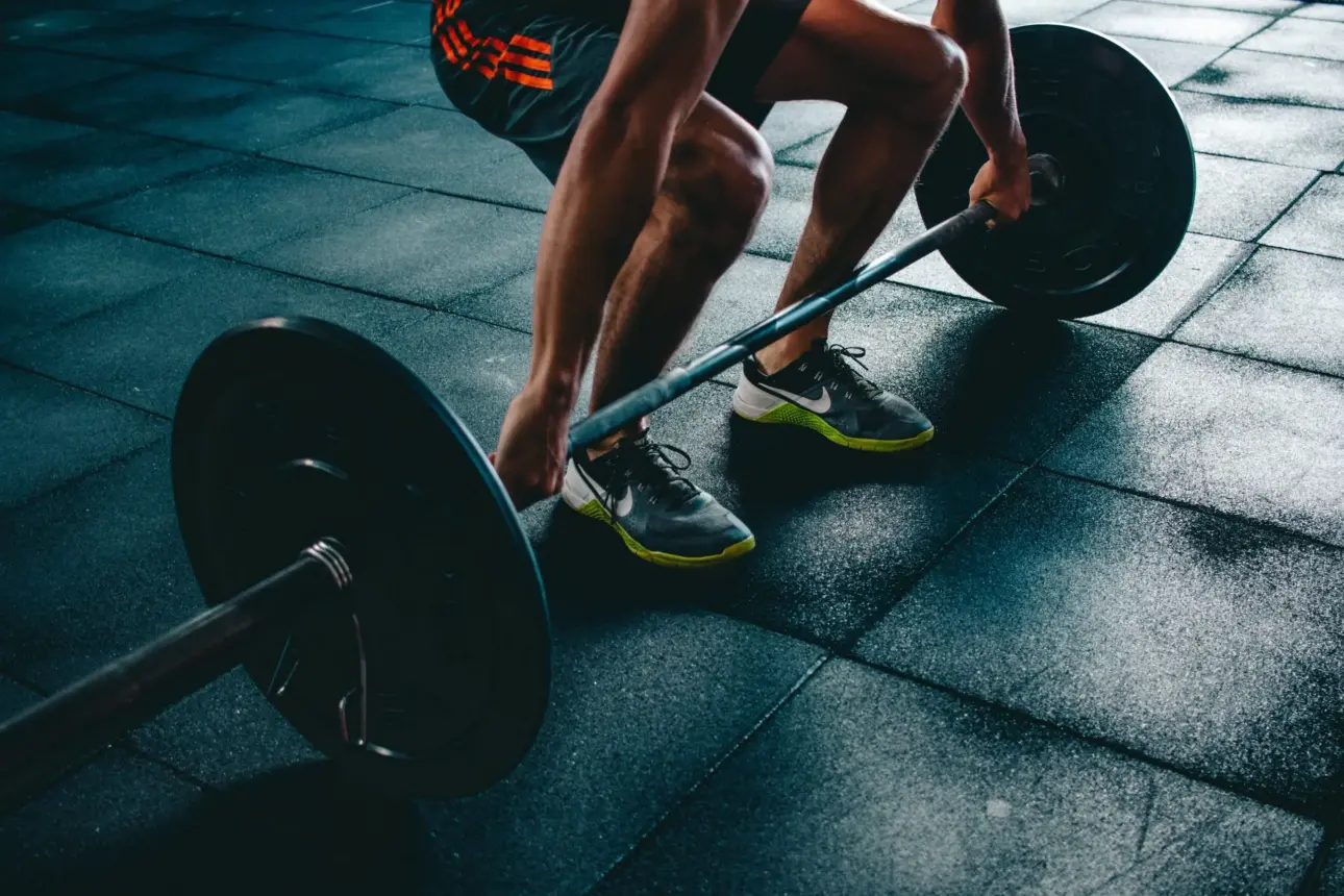 Expert guides on professional fitness equipment