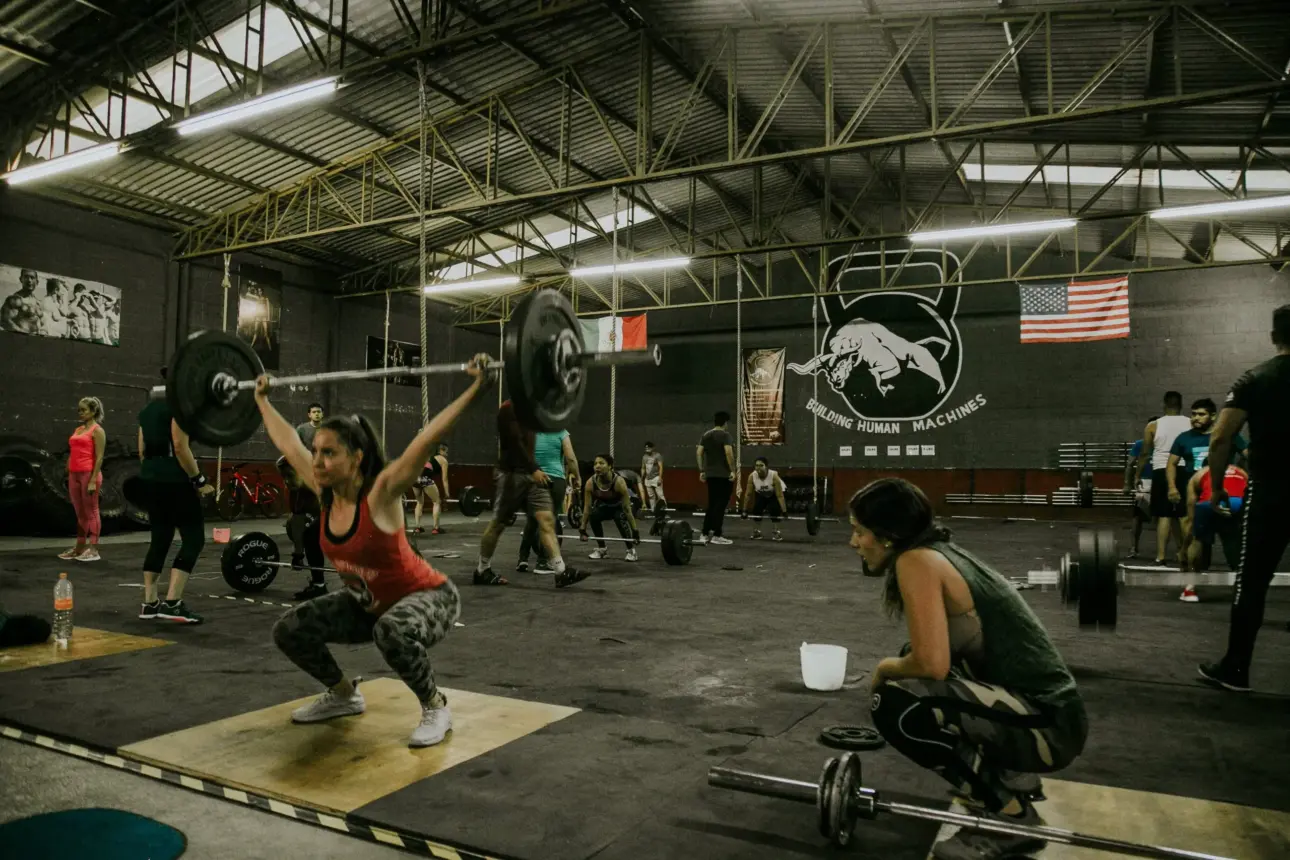 Expert guides on professional fitness equipment
