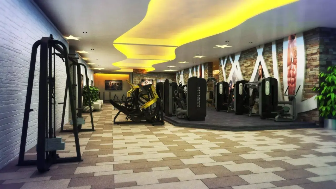Expert guides on professional fitness equipment