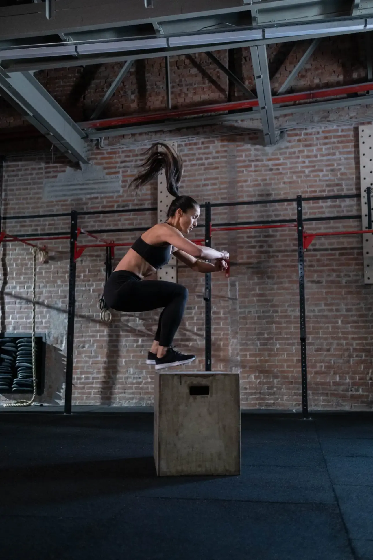 Expert guides on professional fitness equipment