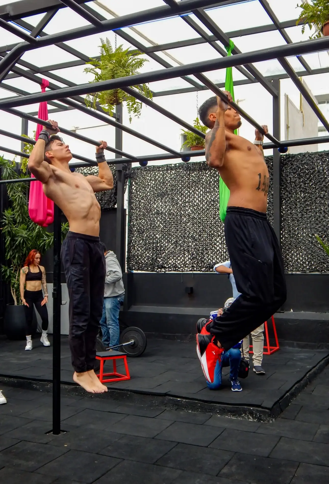 Expert guides on professional fitness equipment