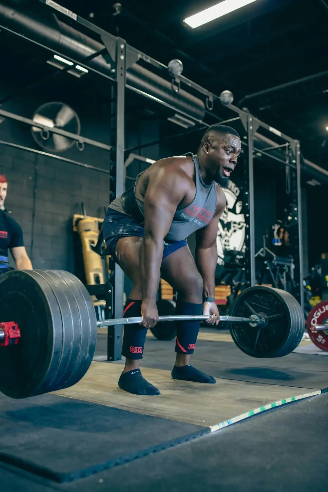 Expert guides on professional fitness equipment