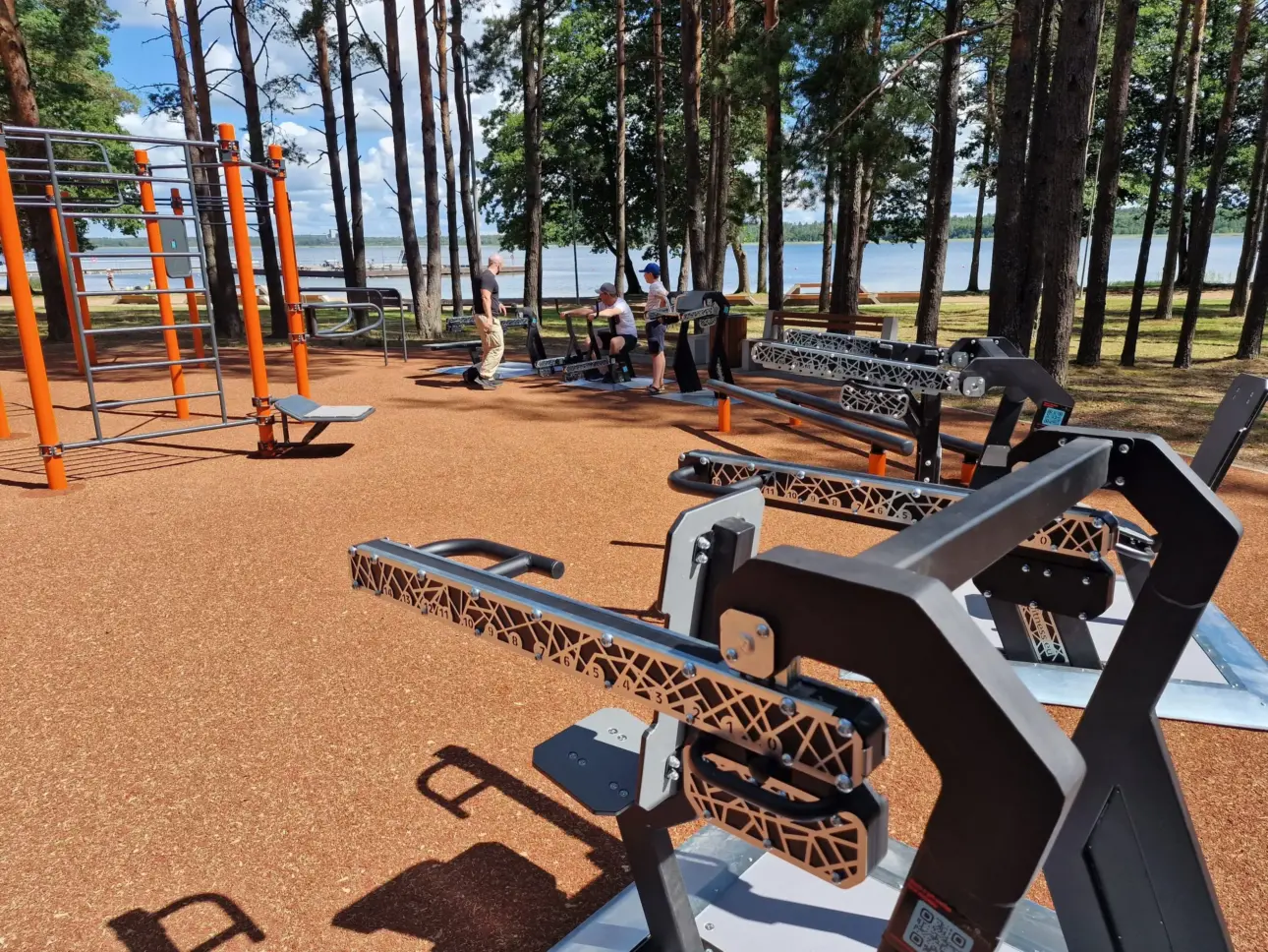 Expert guides on professional fitness equipment