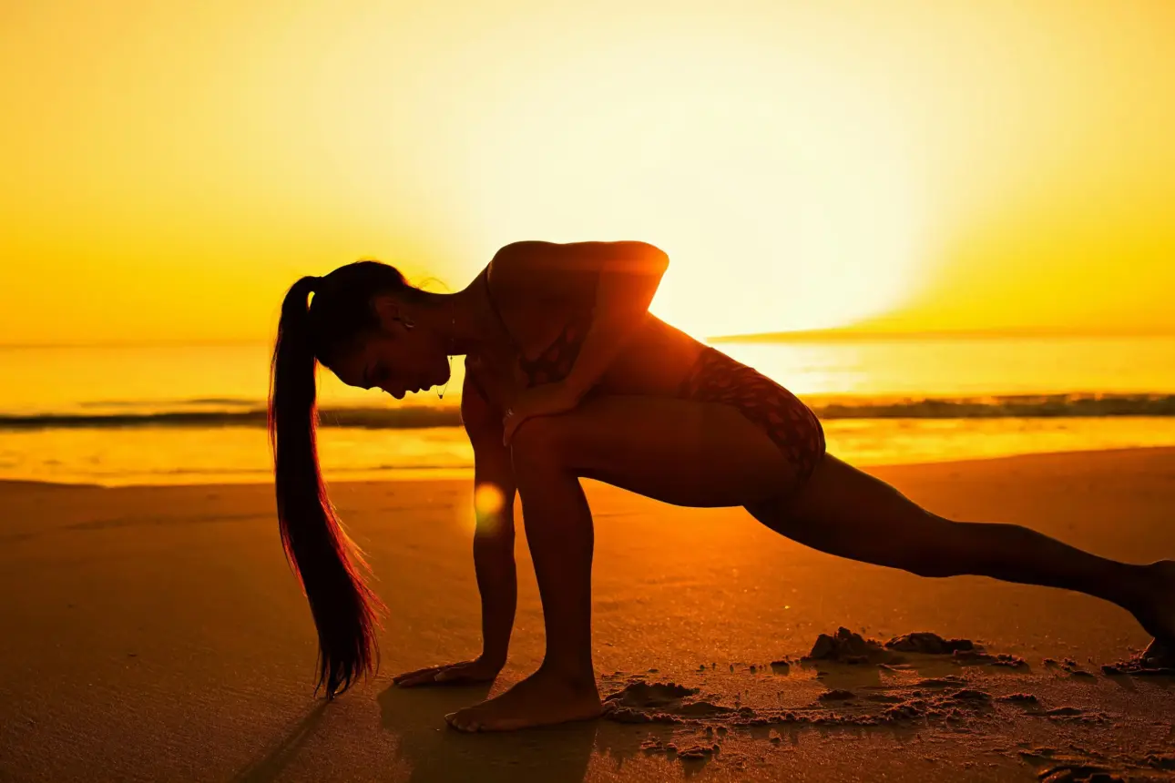Expert guides on professional fitness equipment