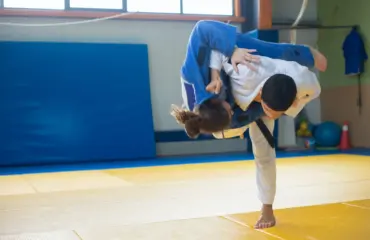 tatamis puzzle arts martiaux et gym une solution polyvalente pour votre espace d'entraînement