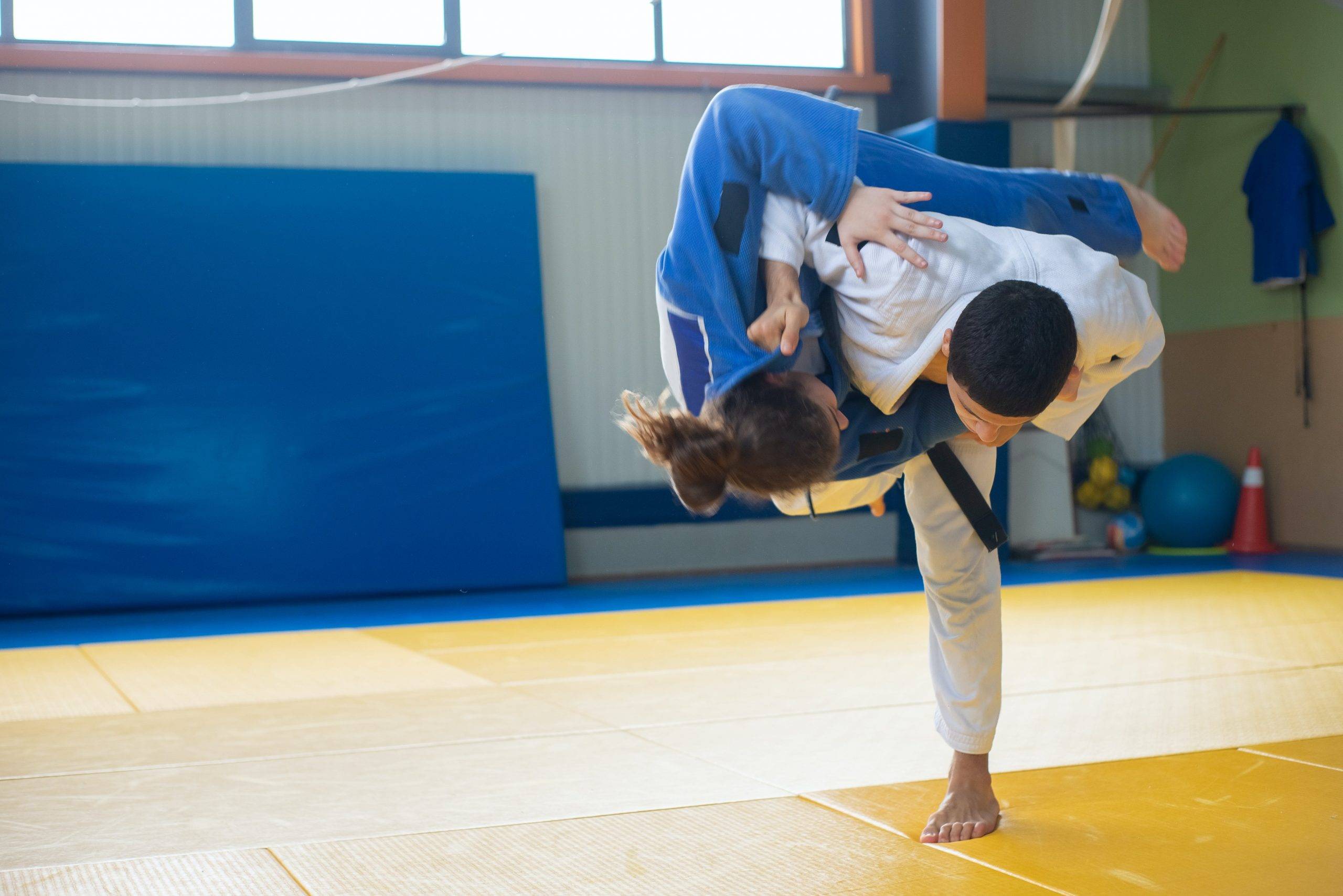 tatamis puzzle arts martiaux et gym une solution polyvalente pour votre espace d'entraînement