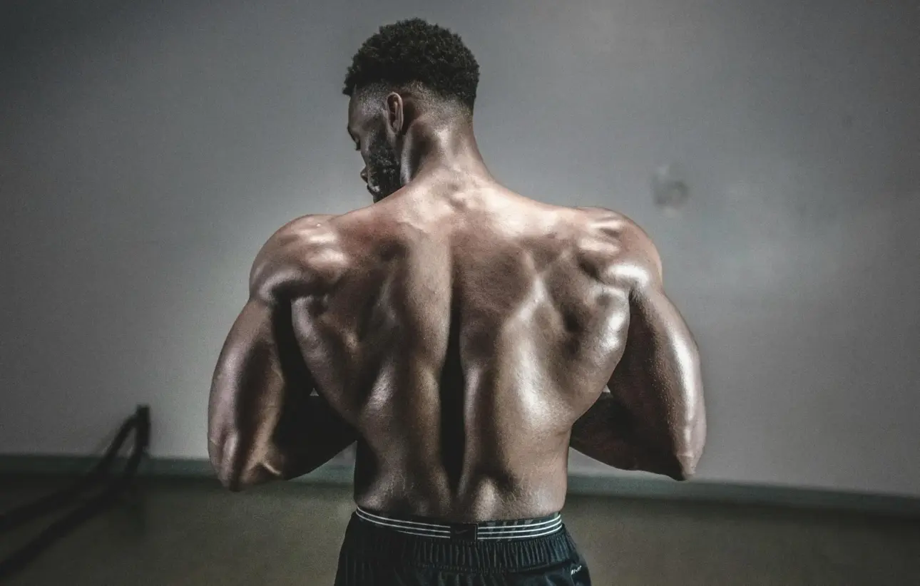 Expert guides on professional fitness equipment