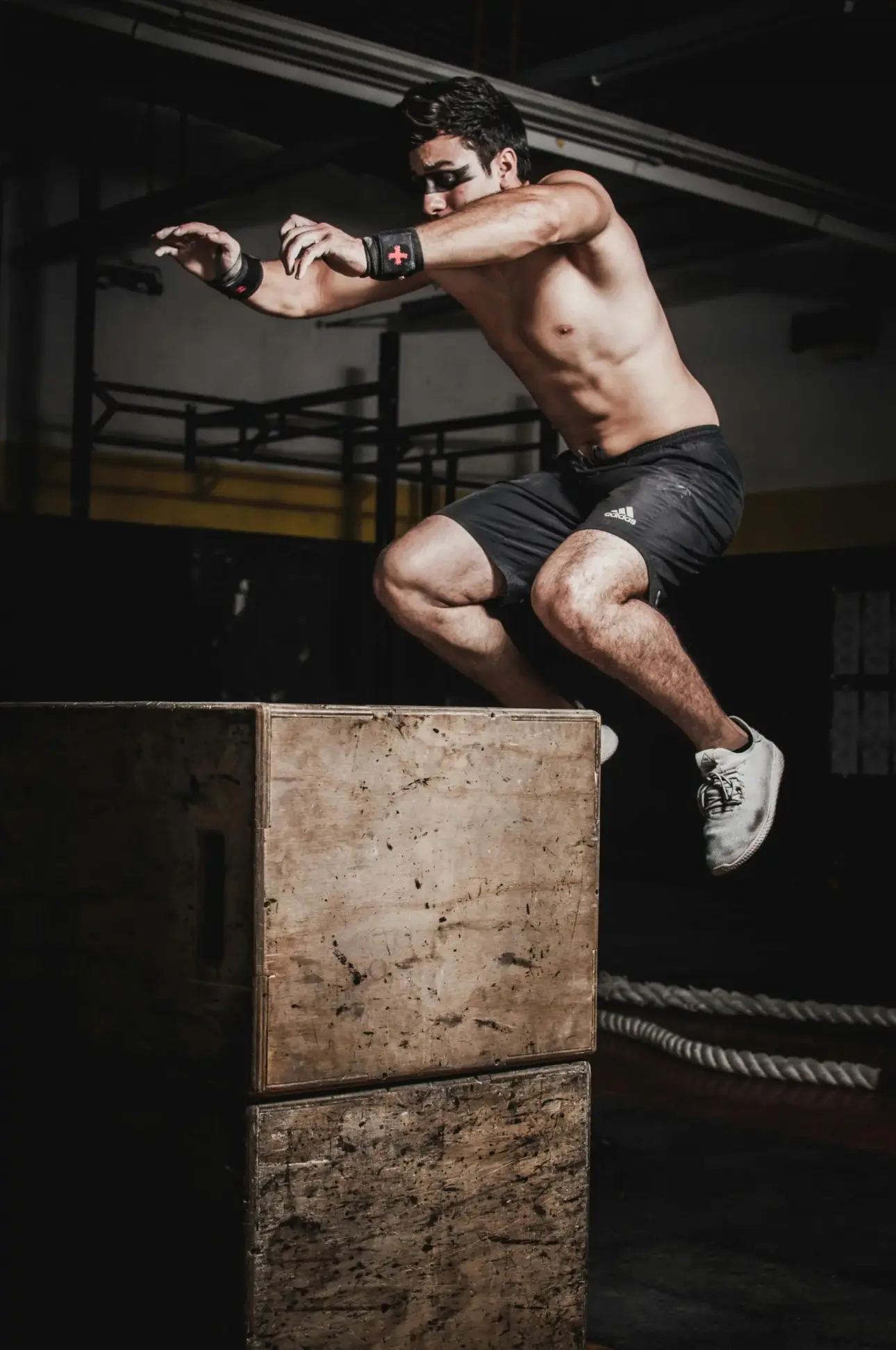 Expert guides on professional fitness equipment