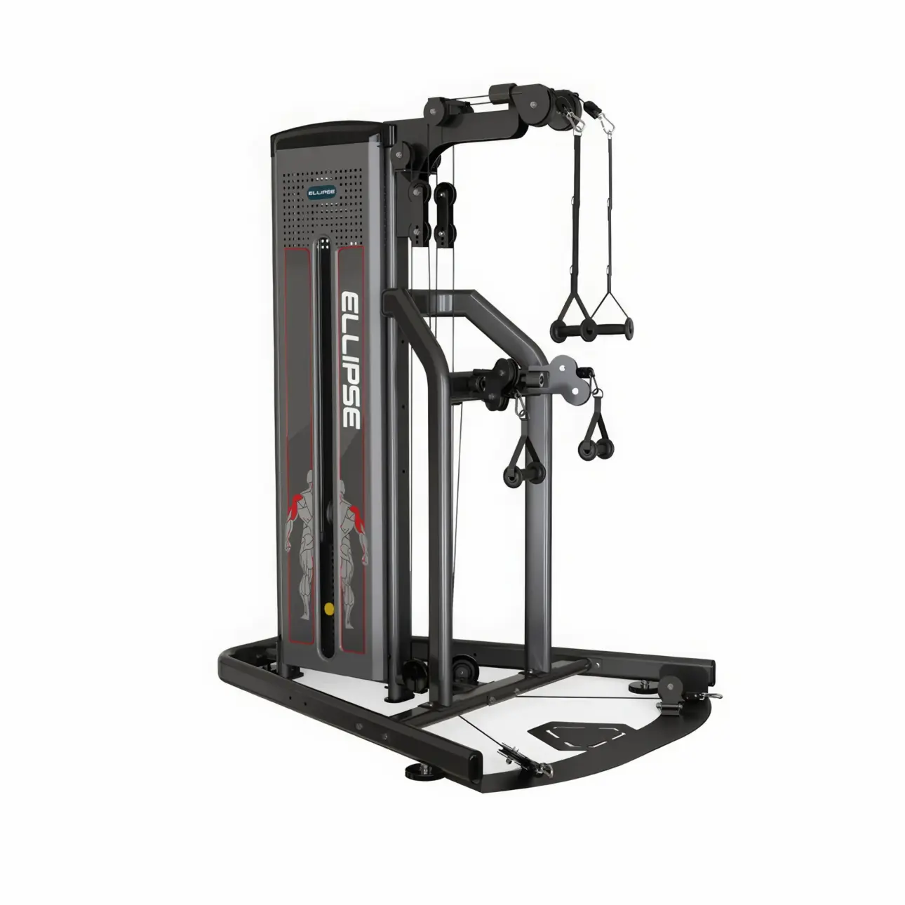 Expert guides on professional fitness equipment