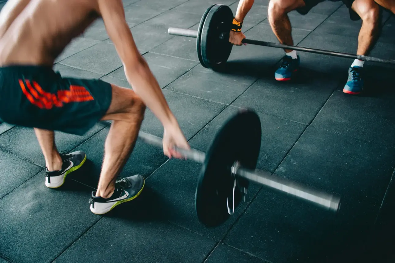 Expert guides on professional fitness equipment