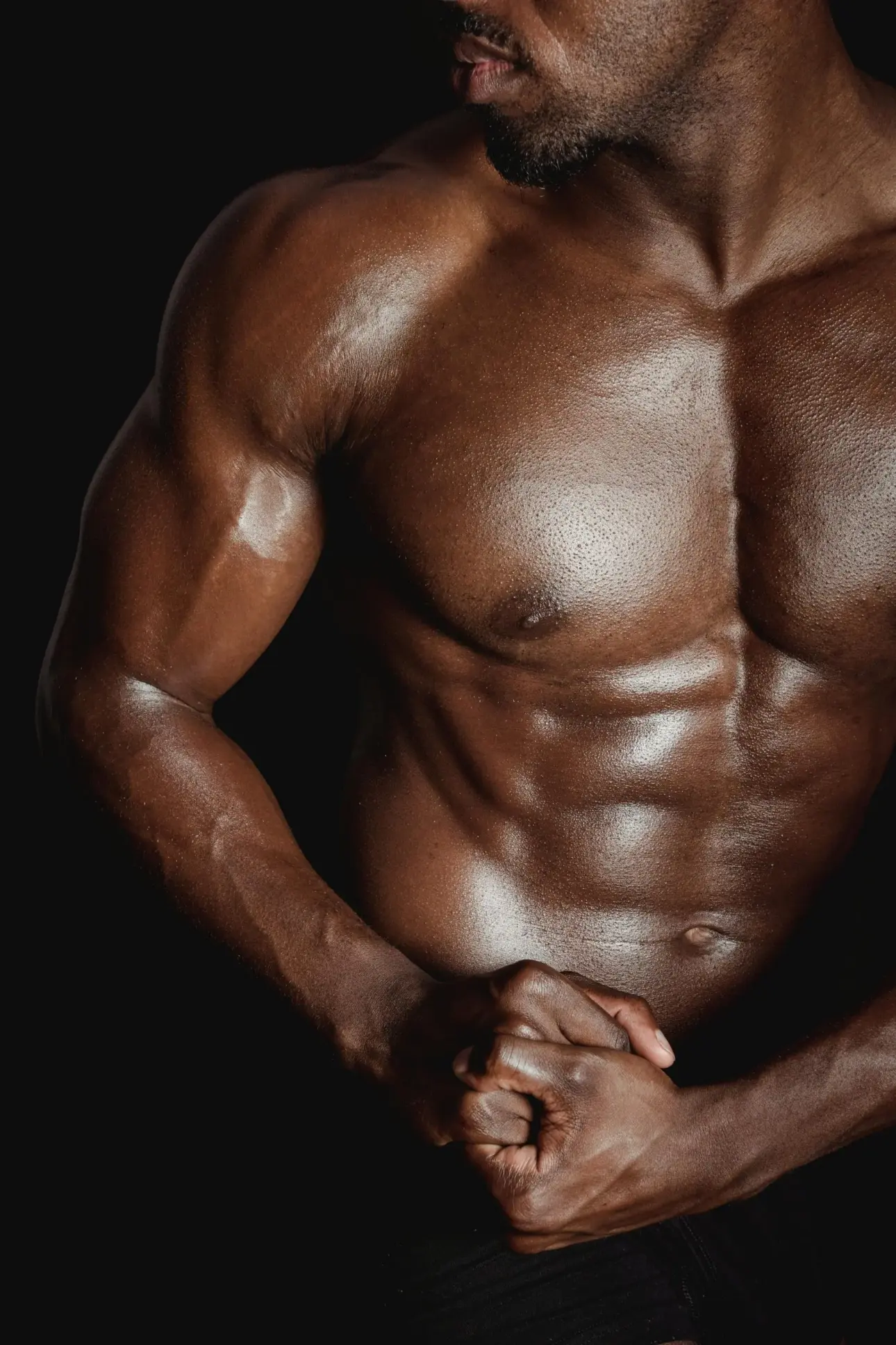 Expert guides on professional fitness equipment