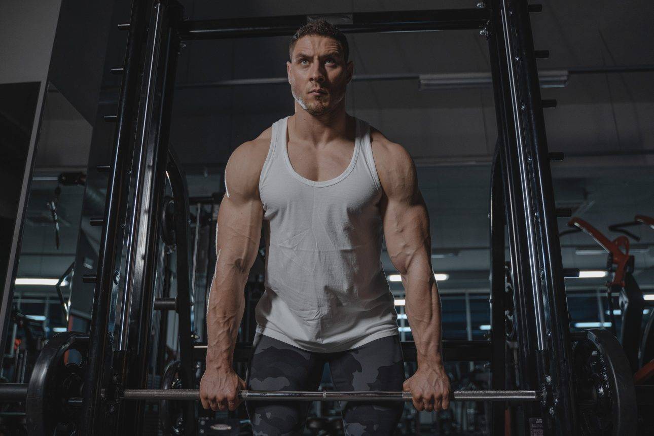 exercices pour les biceps – quels sont les meilleurs exercices pour les biceps