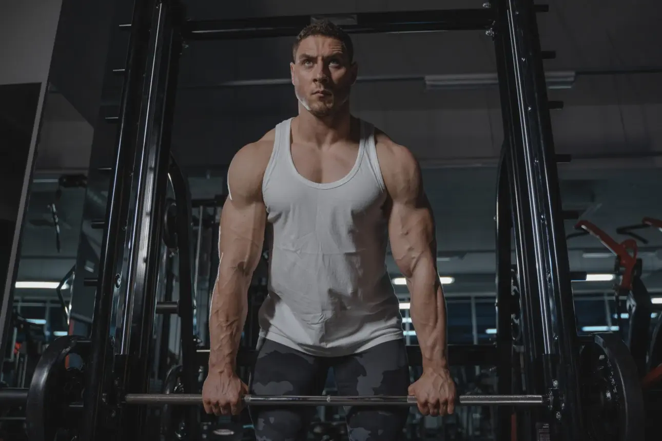 Expert guides on professional fitness equipment