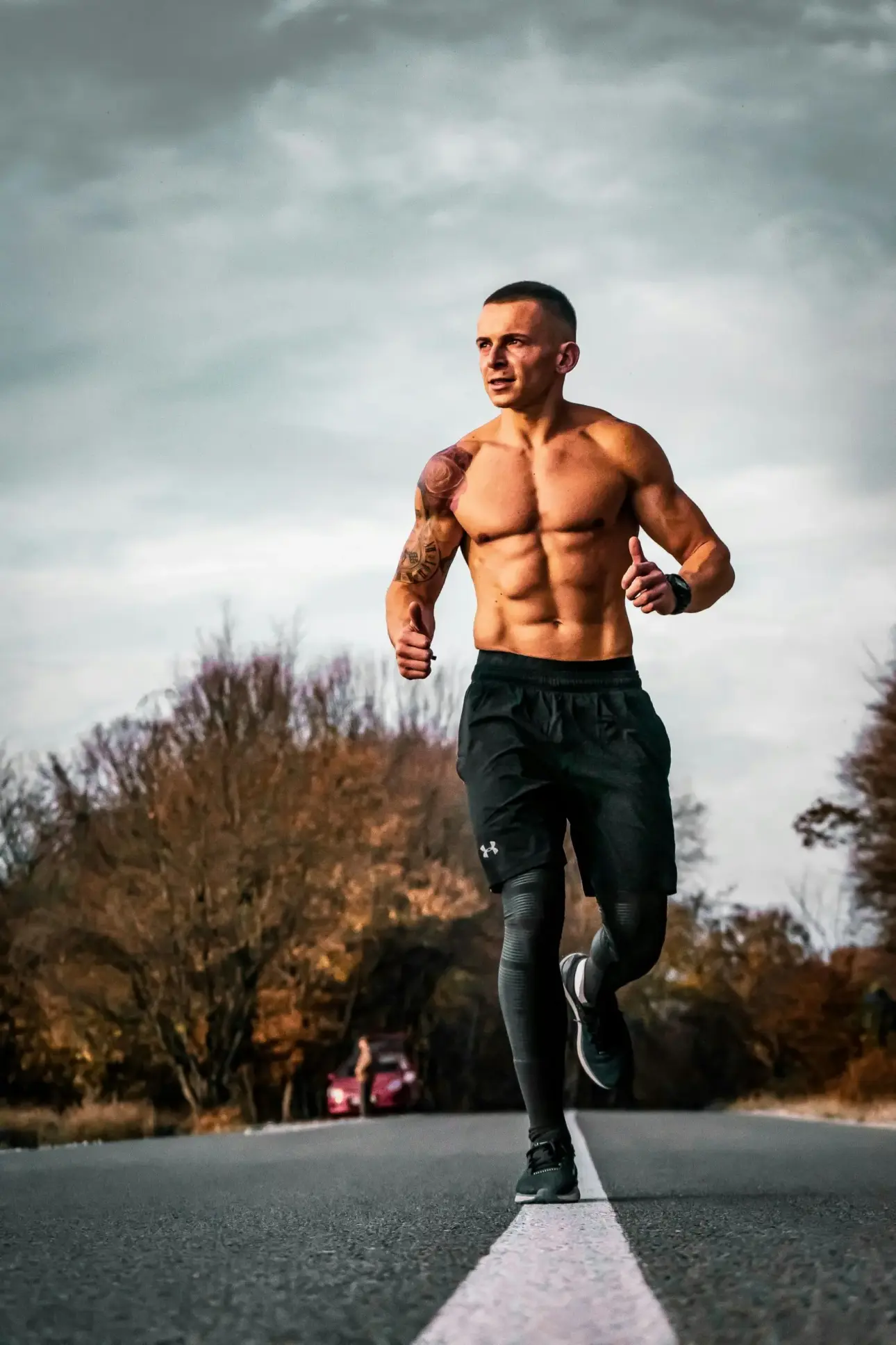 Expert guides on professional fitness equipment
