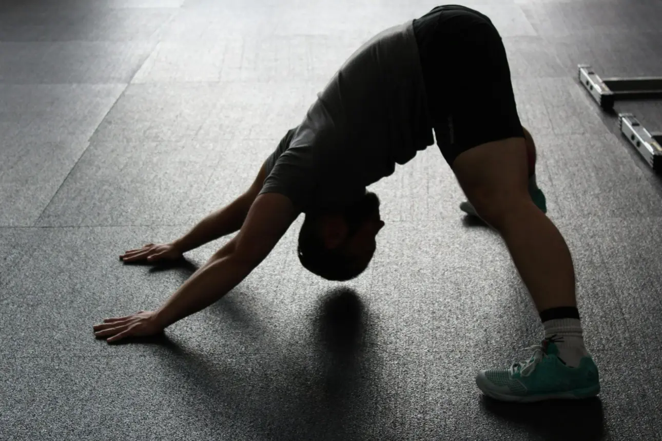 Expert guides on professional fitness equipment