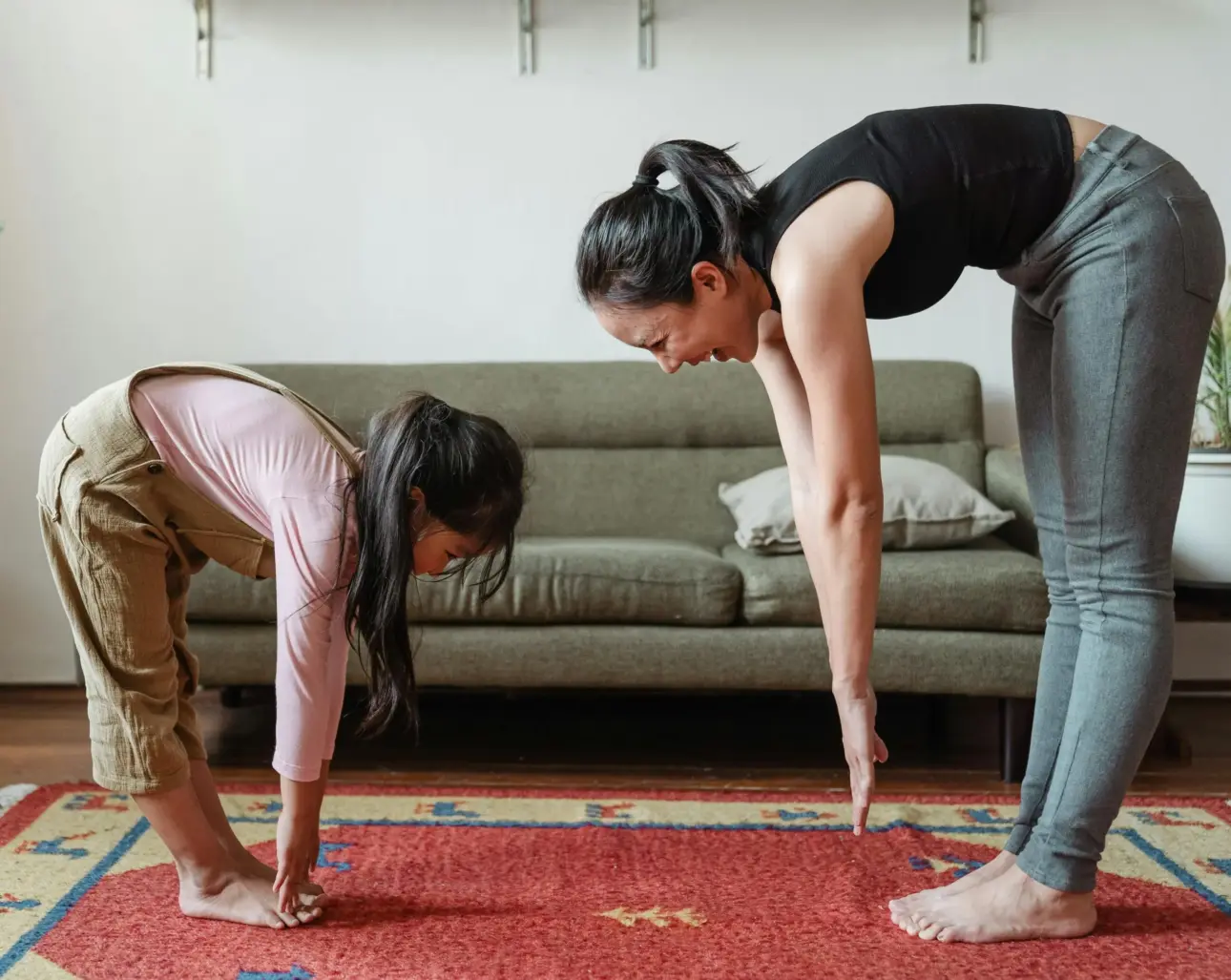 Expert guides on professional fitness equipment
