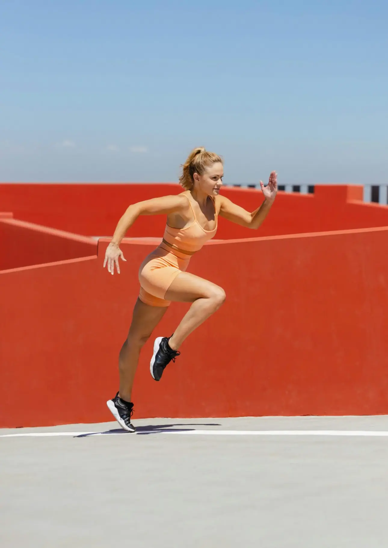Expert guides on professional fitness equipment