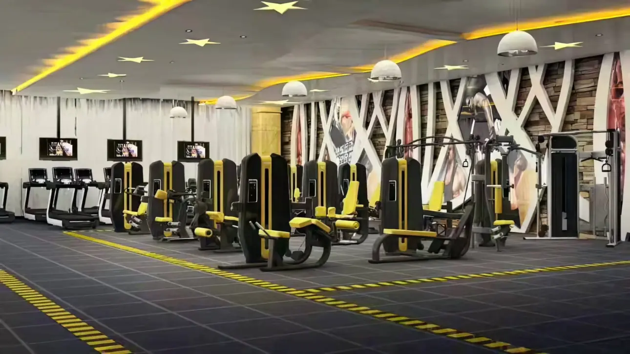 Expert guides on professional fitness equipment