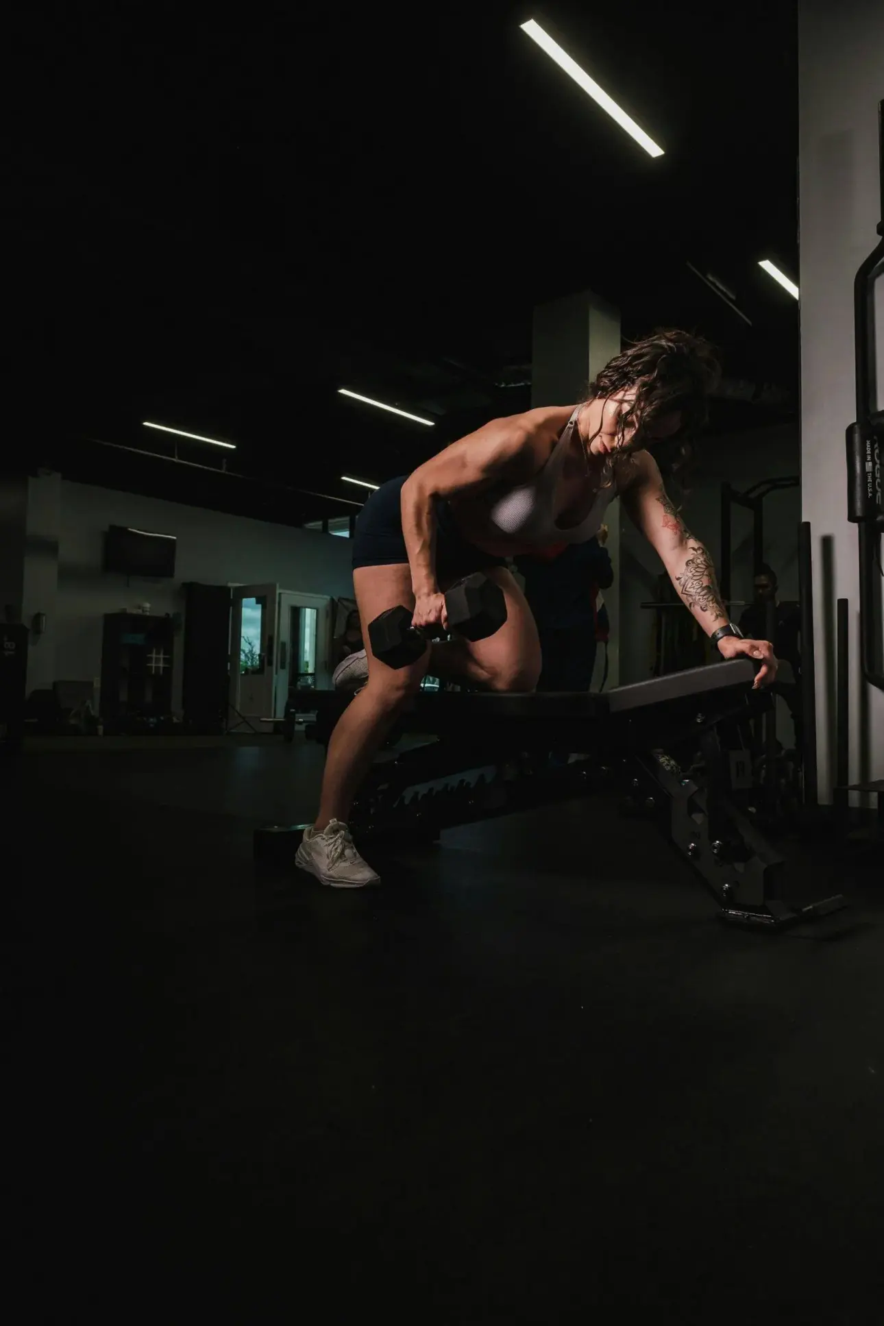 Expert guides on professional fitness equipment