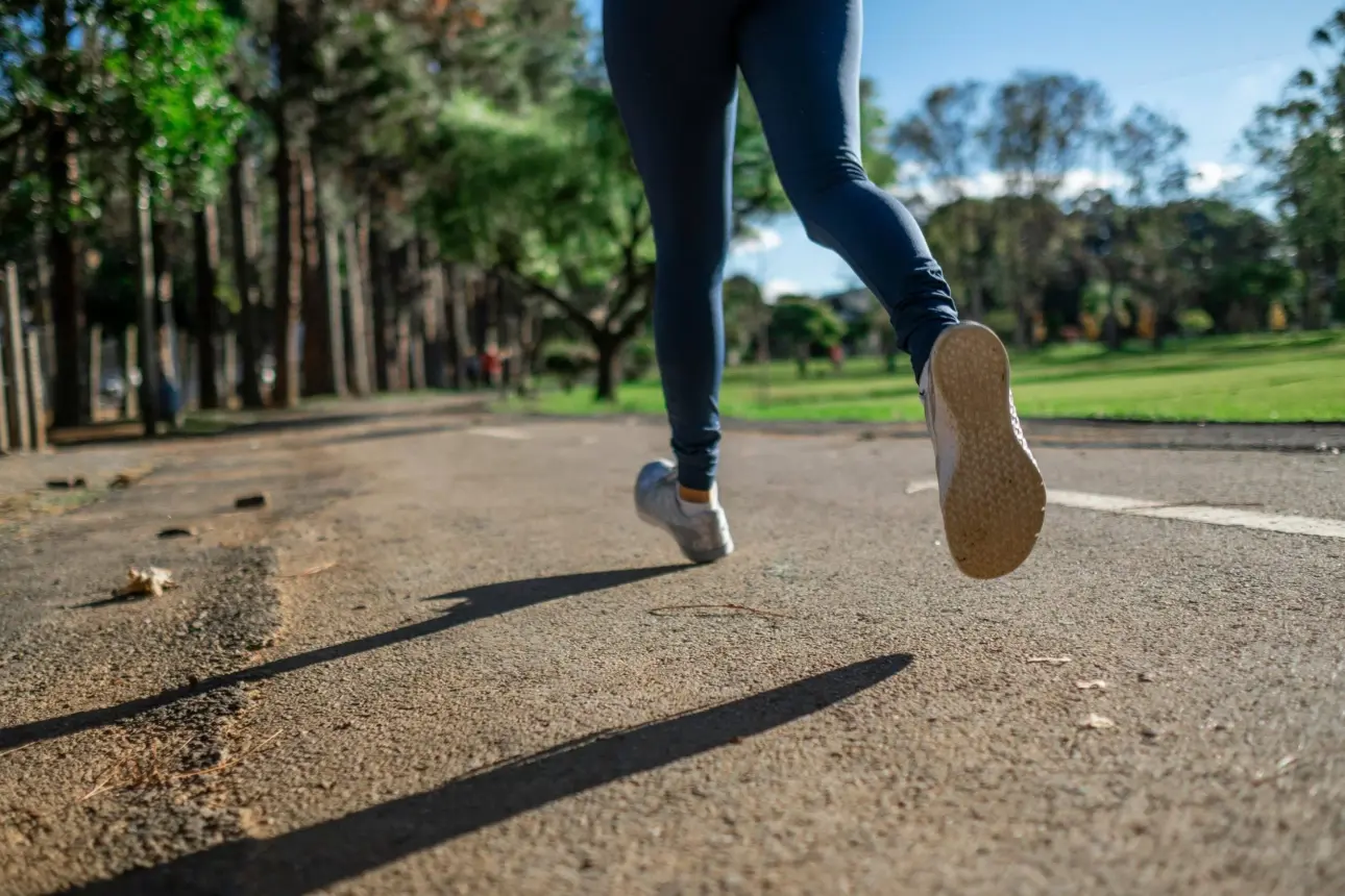 Expert guides on professional fitness equipment