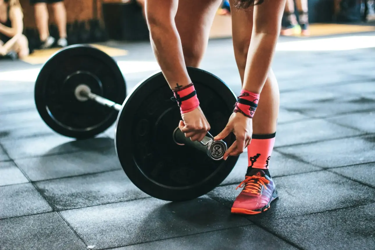 Expert guides on professional fitness equipment