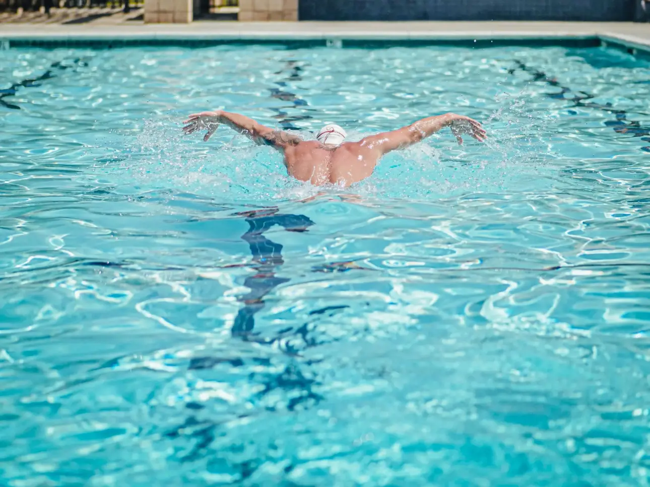 Expert guides on professional fitness equipment