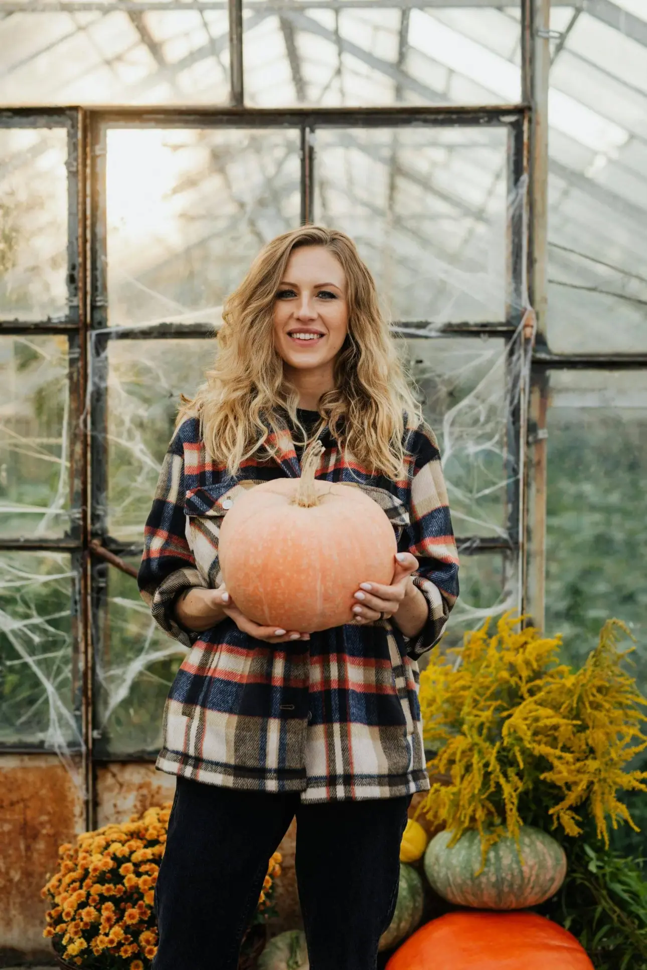 Citrouille et entraînement en force. Que vous apportera le symbole d'Halloween