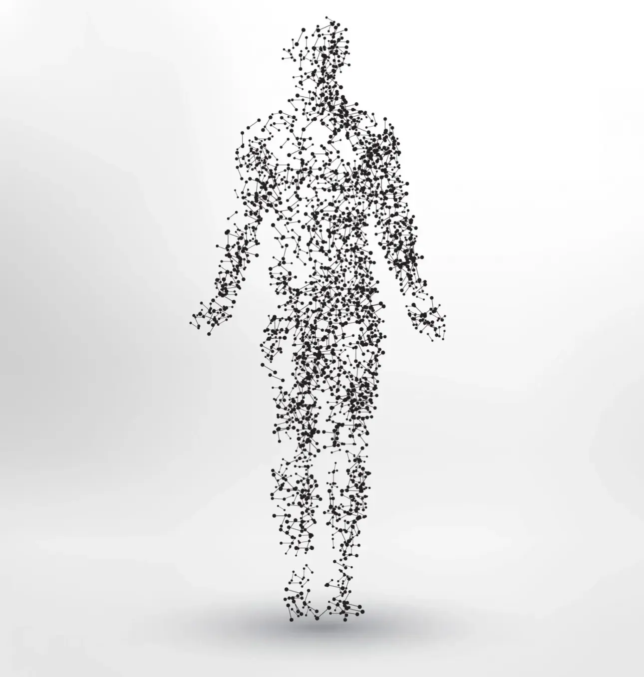 comment amÉliorer l’absorption du fer
