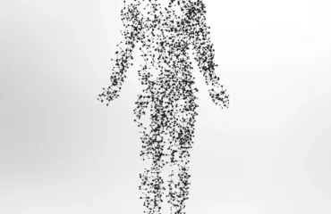 comment amÉliorer l’absorption du fer comment amÉliorer l’absorption du fer