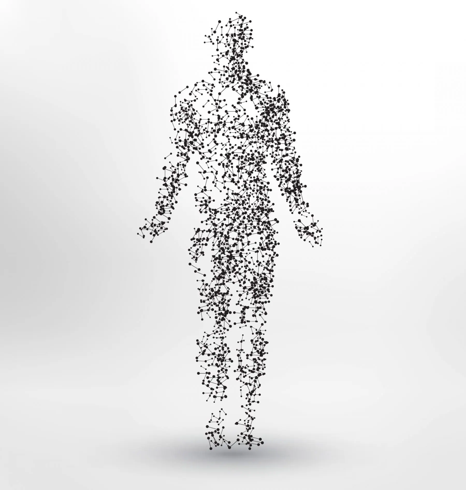 comment amÉliorer l’absorption du fer