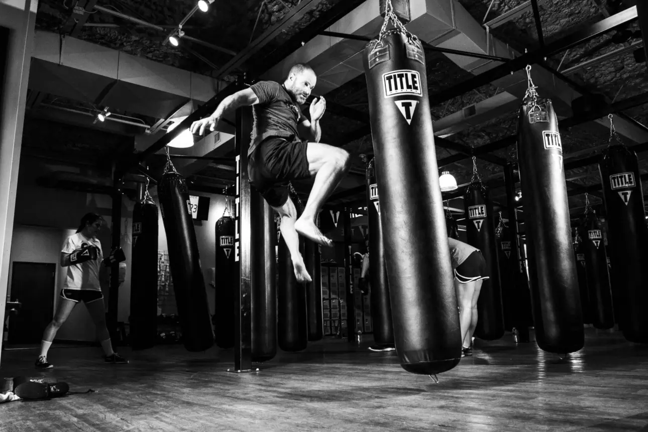 Expert guides on professional fitness equipment