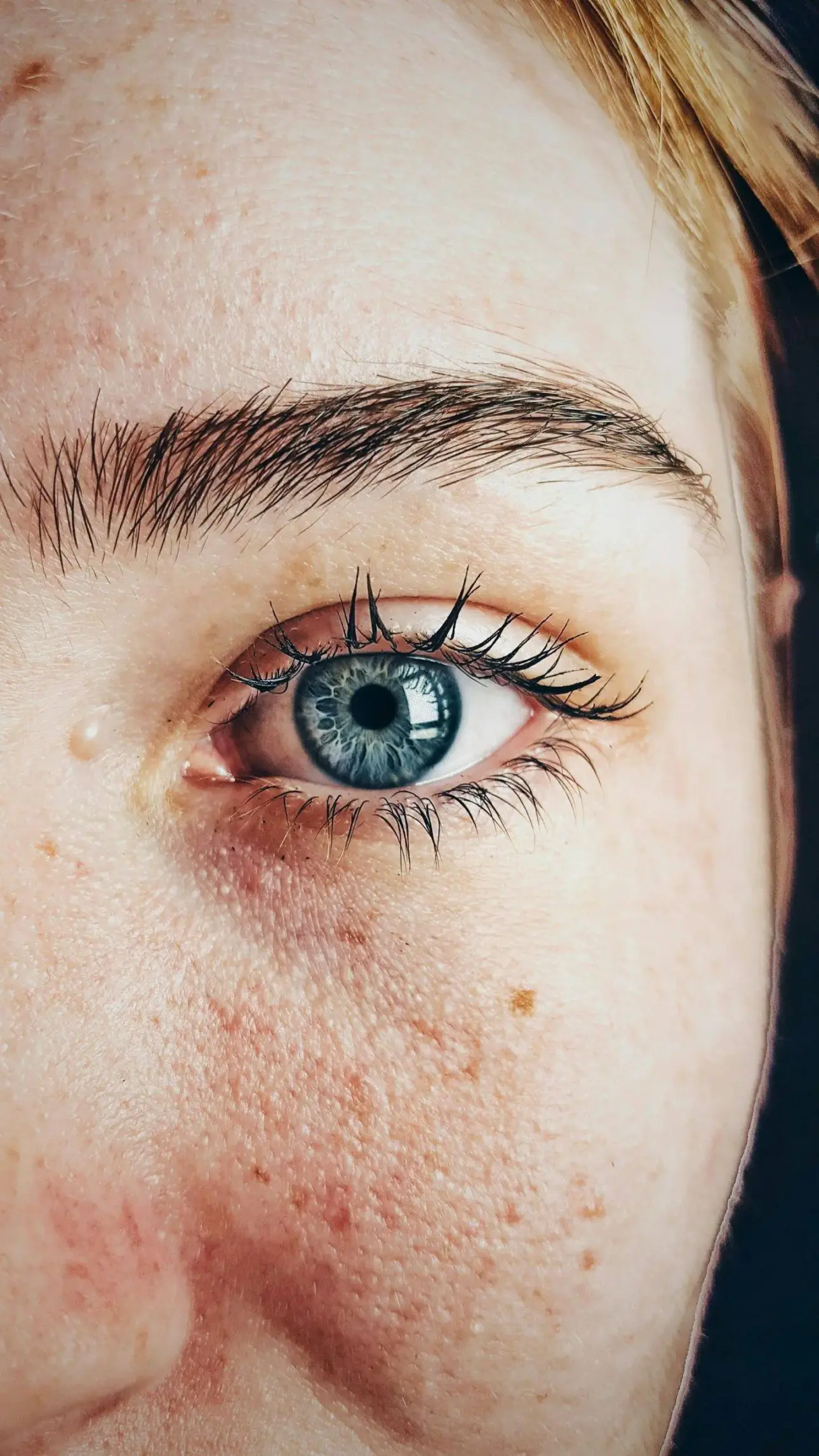 DES YEUX SAINS – RÉGIME ET SUPPLÉMENTS