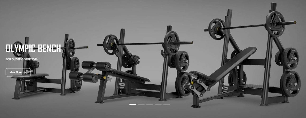 Bancs de Musculation chez Light in Fitness : Le Choix Idéal pour Vos Entraînements
