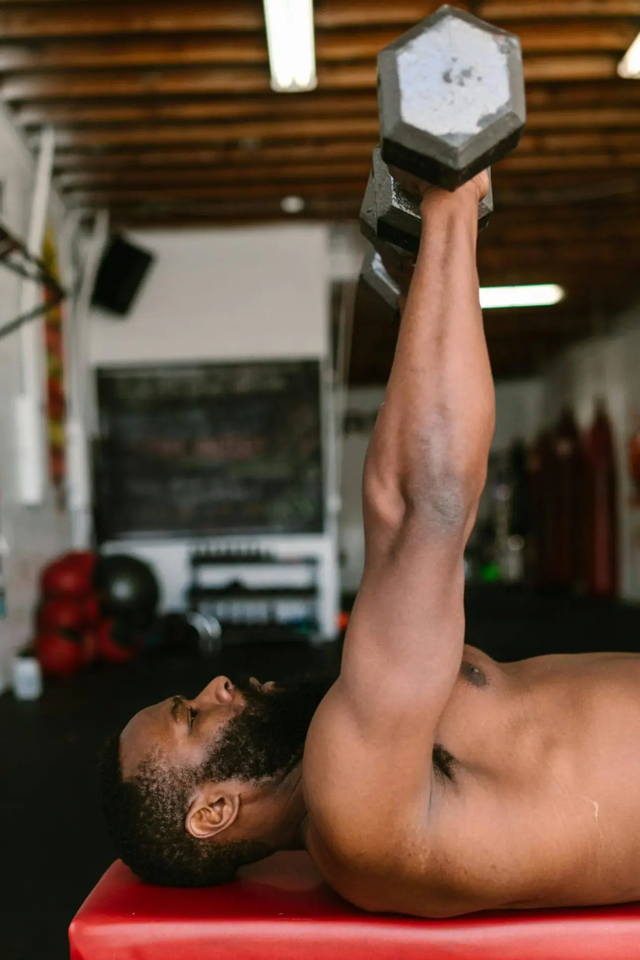 Expert guides on professional fitness equipment