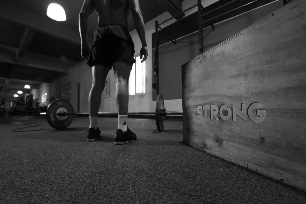 Expert guides on professional fitness equipment