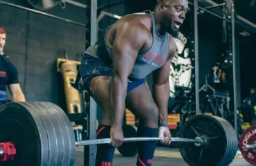 salle de musculation optimisation, Équipement et performance Salle de Musculation Optimisation, Équipement et Performance