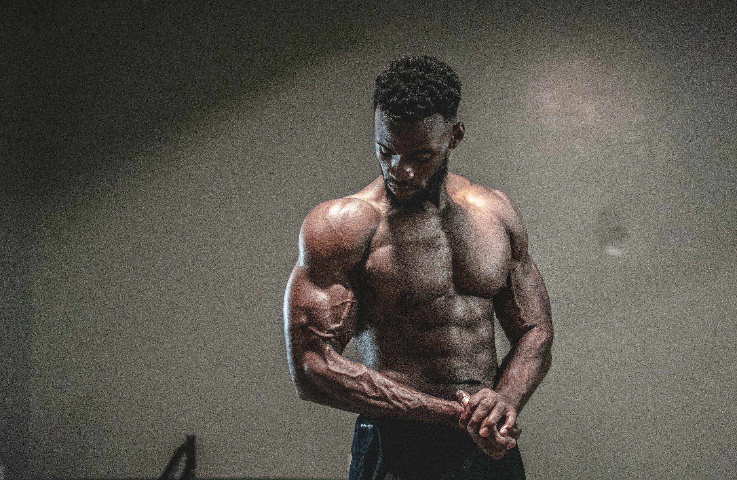 Comment les muscles se développent – ​​qu’est-ce qui influence la croissance musculaire