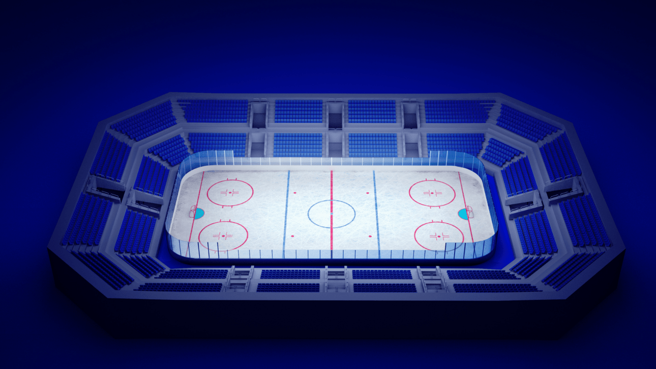 patinoires synthétiques et artificielles la technologie pour s'amuser