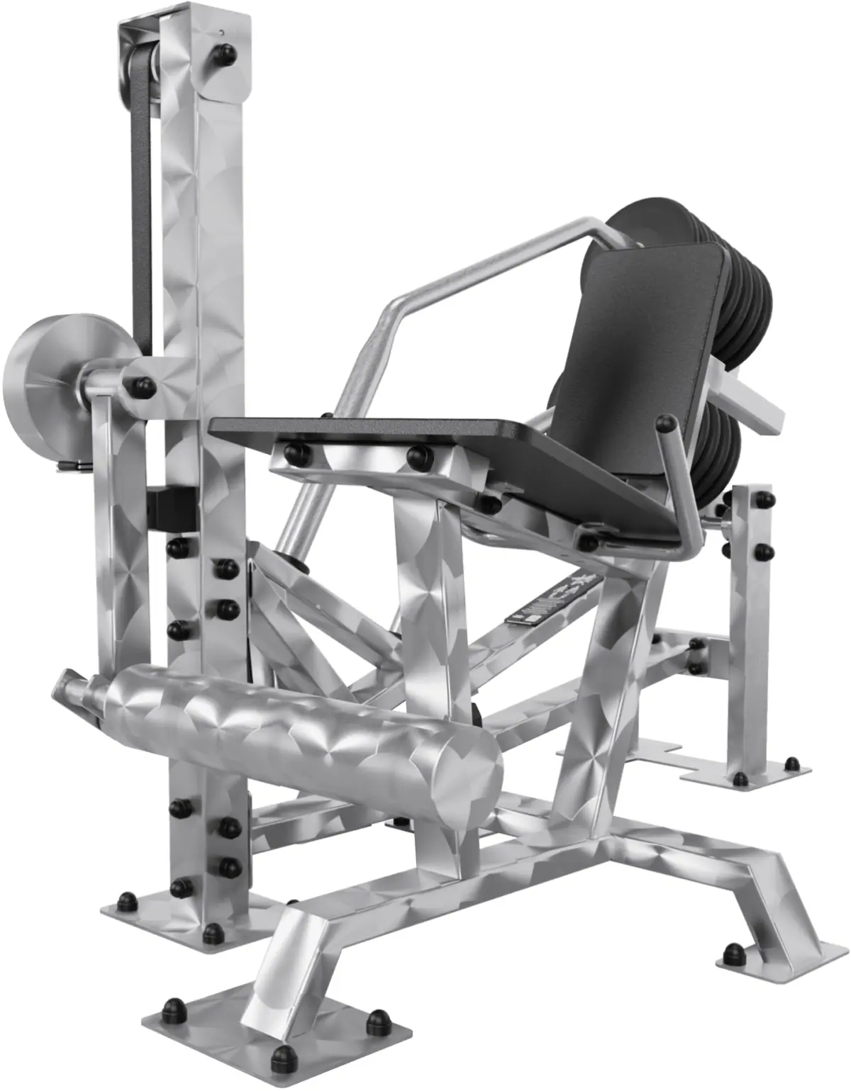 Stainless steel outdoor leg extension, Olympic plate loaded
