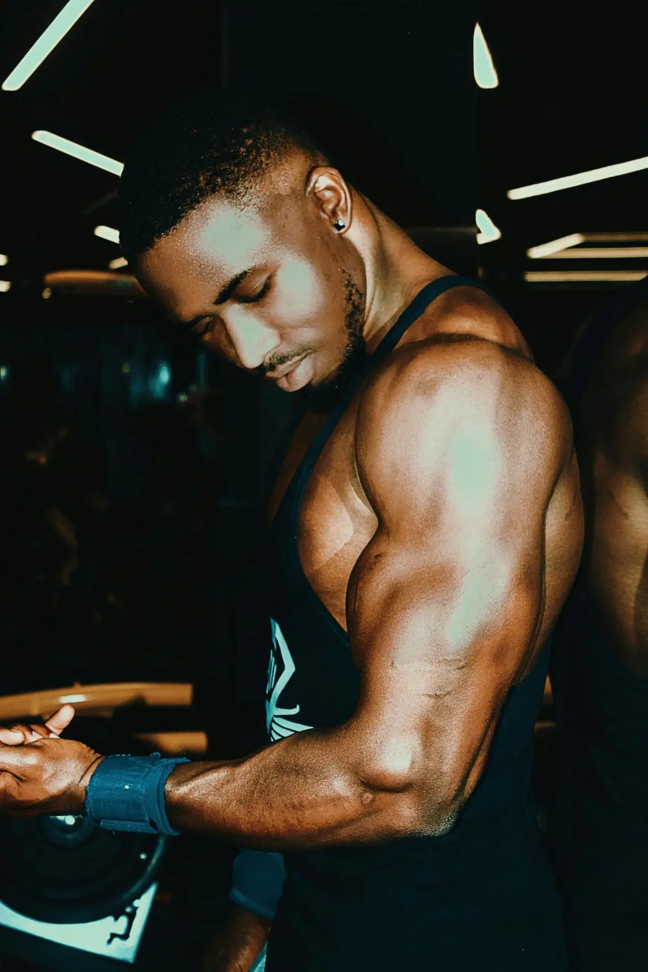 Biceps et triceps, ou quelques mots sur les biceps et triceps du bras