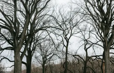 Comment rester motivé pour s’entraîner en hiver (même quand il fait froid et sombre dehors)
