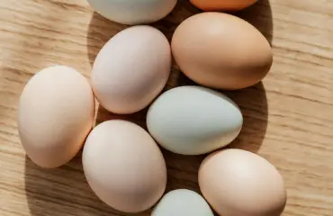 Combien de calories contient un œuf Œufs et cholestérol