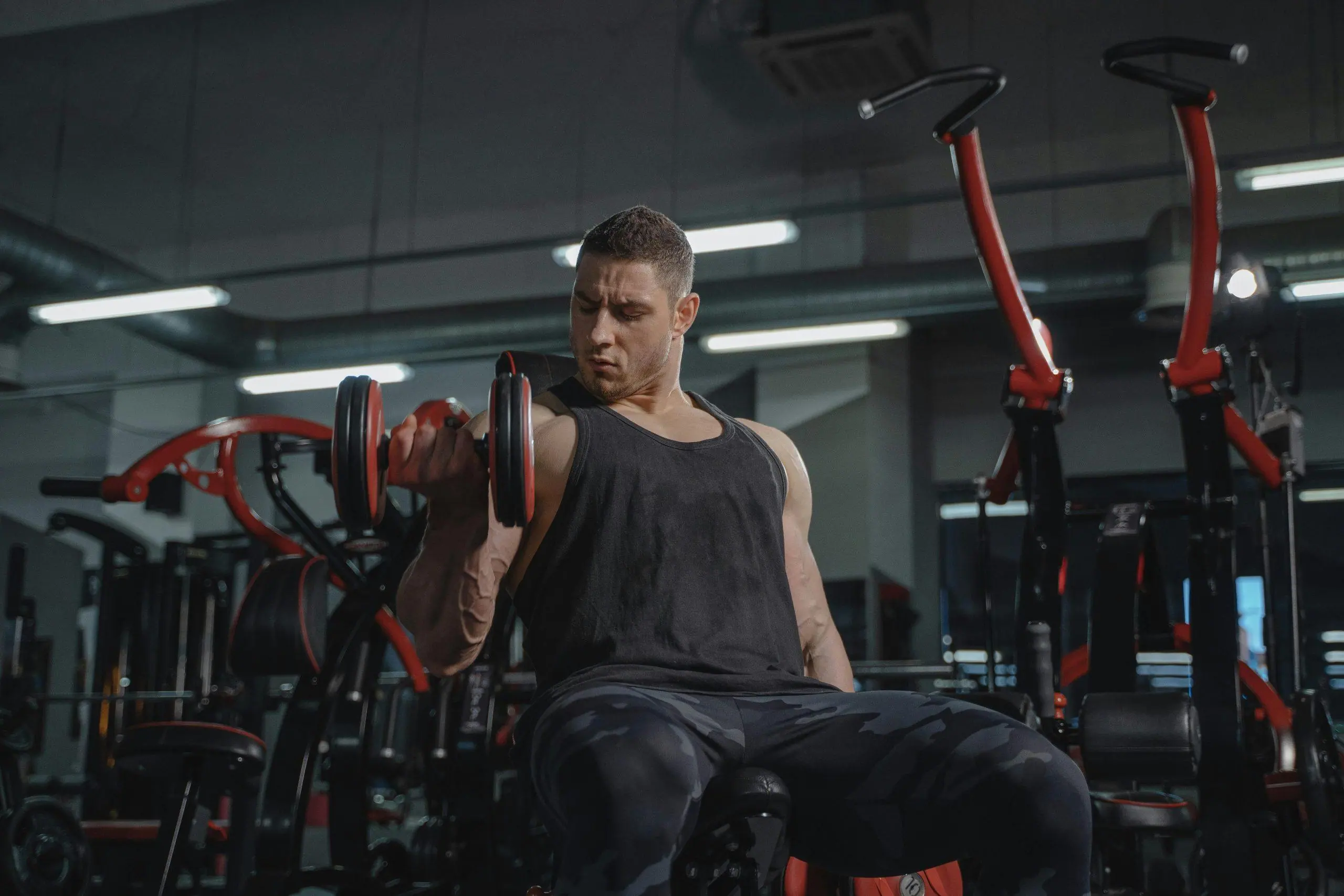 entraînement en force – principes et effets des exercices de force. conseils pour les débutants