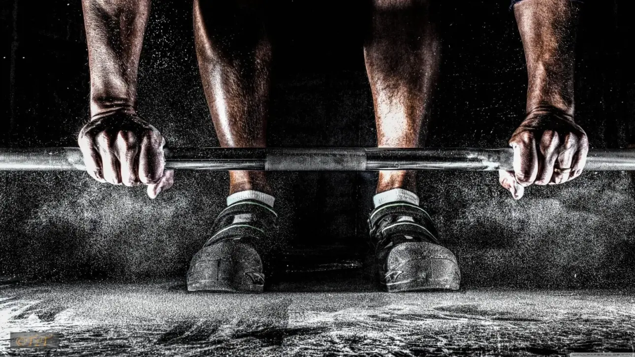 Les Différences entre Musculation et CrossFit Quel Est le Meilleur pour Vos Objectifs