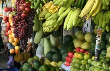 potassium pourquoi est il important et où le trouver Potassium pourquoi est-il important et où le trouver